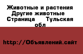 Животные и растения Другие животные - Страница 3 . Тульская обл.